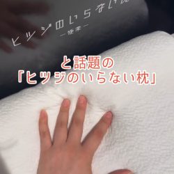 まるで水の上にいるような寝心地「ヒツジのいらない枕 」取扱い開始しました!