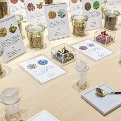 【コスメフェスタ】楽しくPOPに和漢🌿あなただけのオリジナルハーブティー作り体験イベント